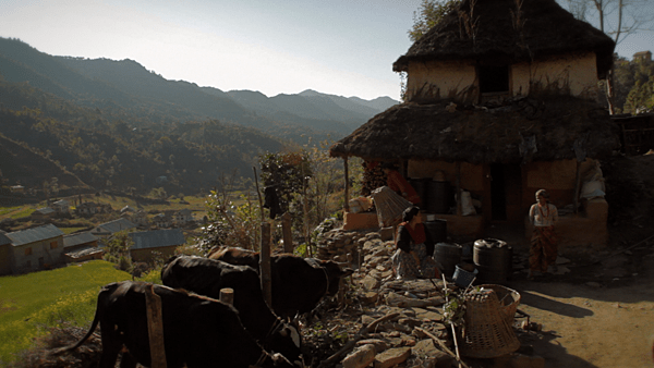 ARP Final Cut 01004400