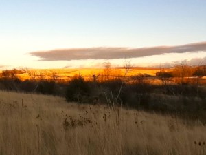 Fall at Bennington Lake, Walla Walla 