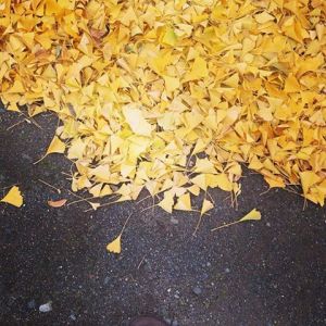 1450855_646328755312_420603004_n