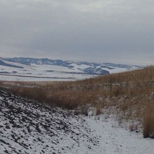 1463561_652755196672_120185281_n