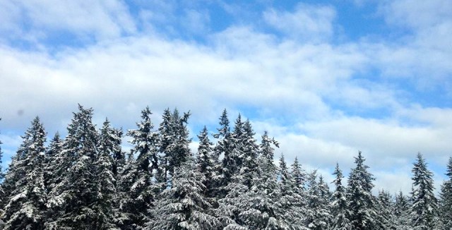 1901737_707650171702_5270957994898057292_n