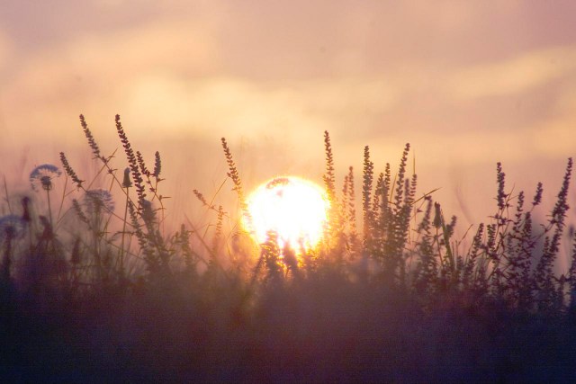 6177638805_66356241ce_b