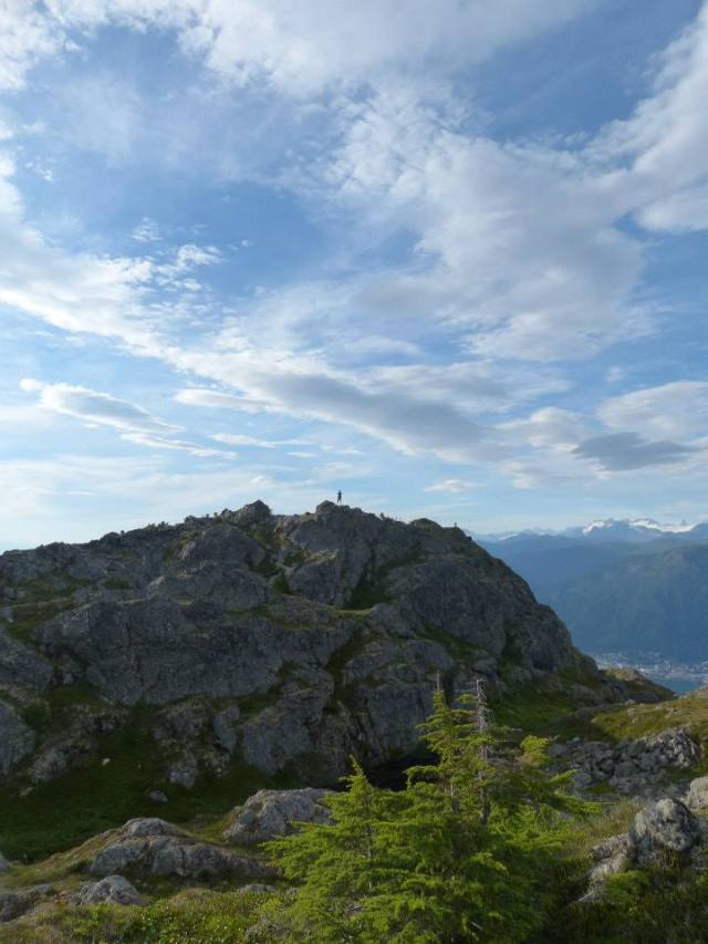 11825856_745812159772_1251598068262460392_n