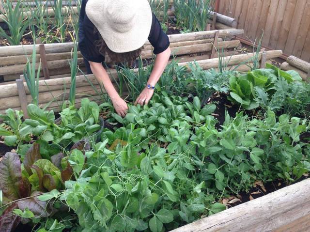 11210502_730694385912_7240733150981288194_n