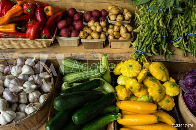 AdobeStock_122447476_Preview