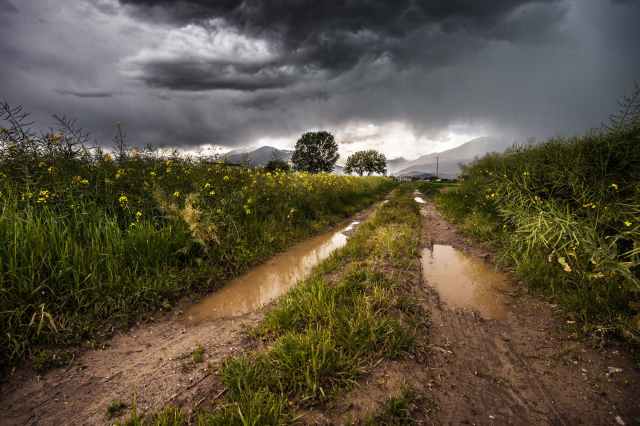 country lane field meadow puddles